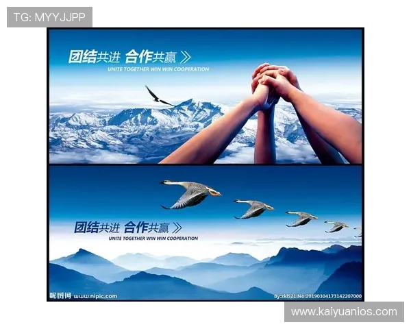 打造winwin合作关系促进双方共同成长的实用技巧与方法